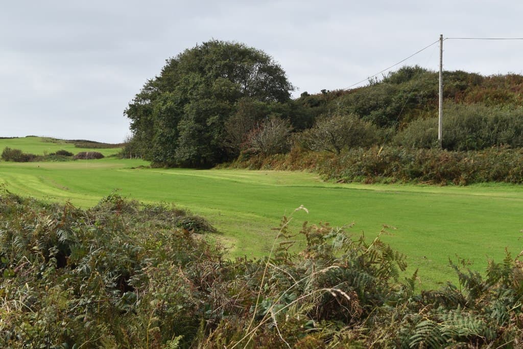 A fairway on the nine-hole course at Gigha, bracken and scrub along its edge