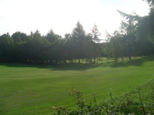 A tree-lined fairway at Hilton Park, Milngavie