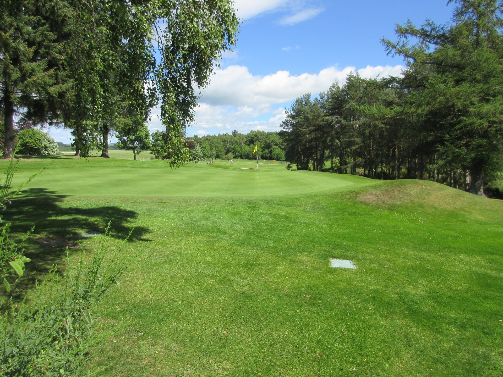 The 3rd hole at Alyth, a tree-lined green in June