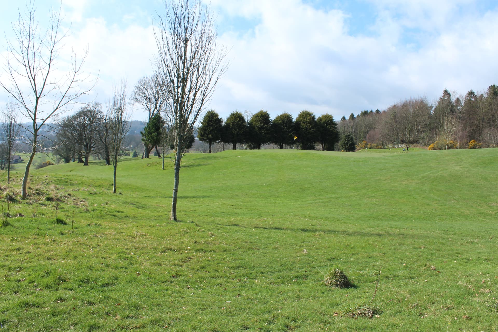 A green among young birches at Newton Stewart, Galloway