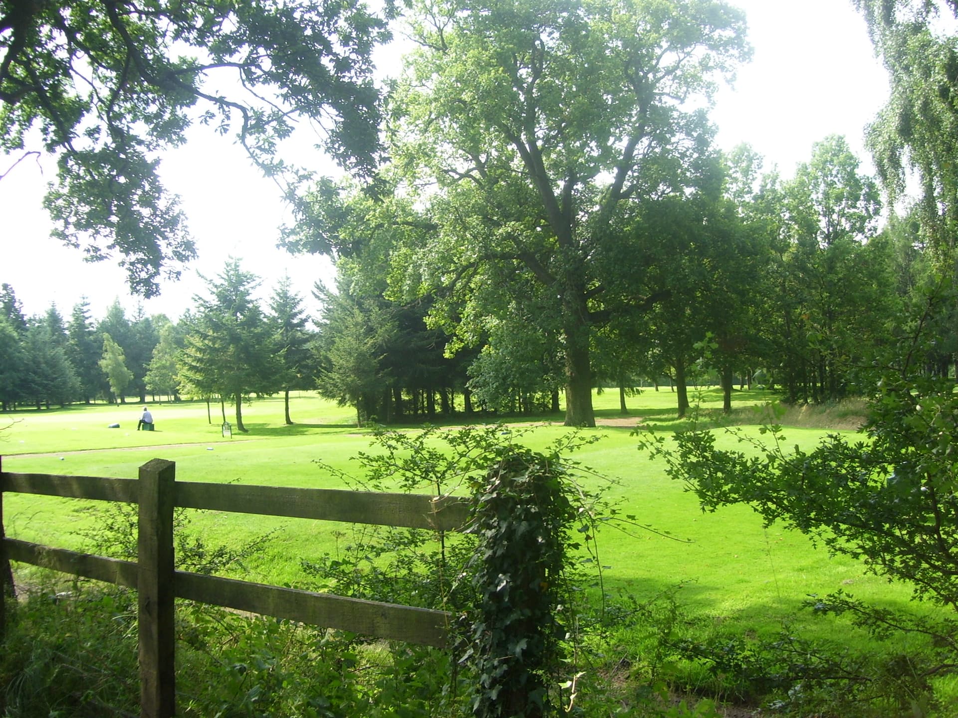 A tree-lined fairway at Bellshill, seen from the boundary fence