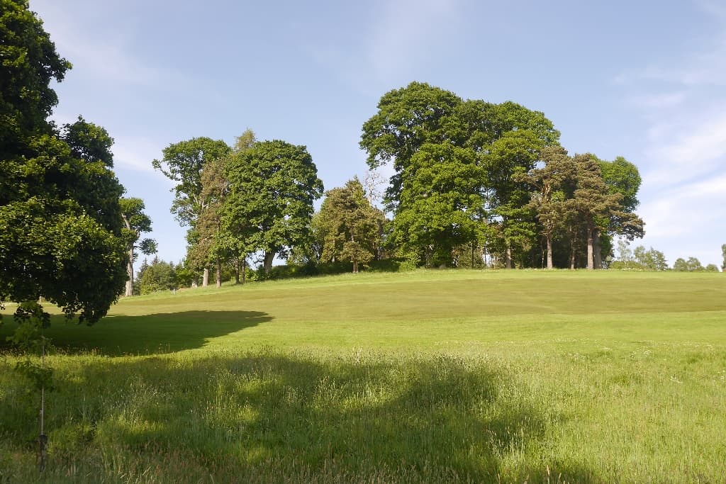 Parkland at Dunblane New Golf Club on a summer morning