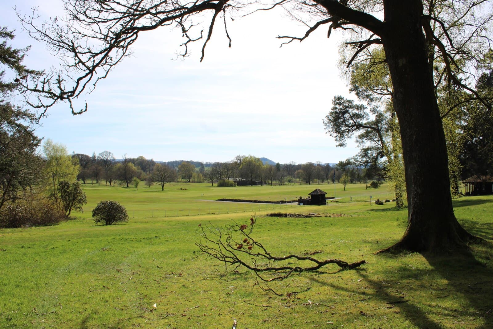 Parkland at Buchanan Castle, Drymen, seen from under the oaks