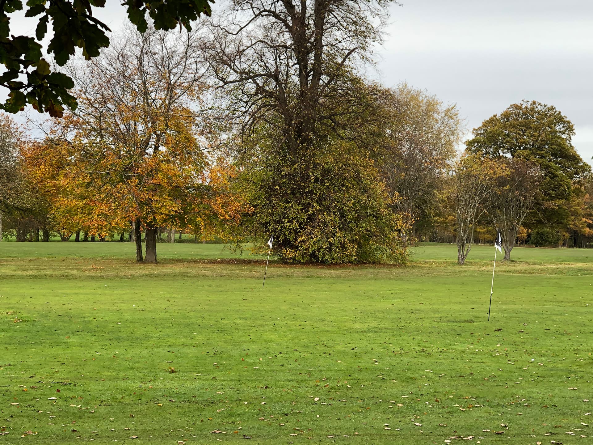 Parkland fairways at Duddingston Golf Club, Edinburgh
