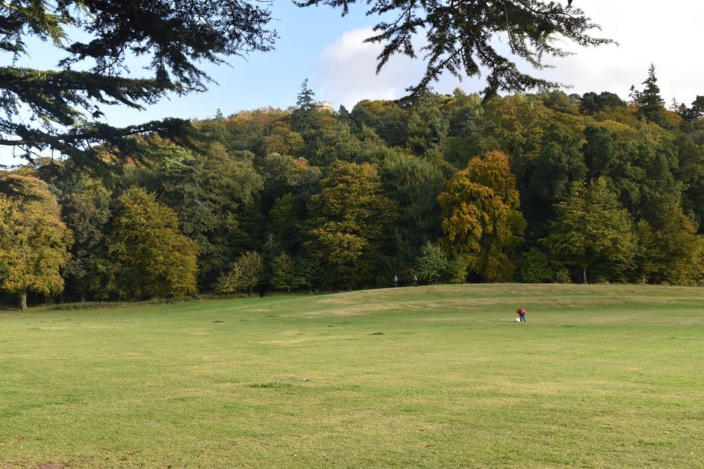 Forres Golf Course in autumn, Nelson's Tower on Cluny Hill above the trees